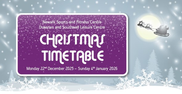 Christmas Holiday Prog 25 web banner